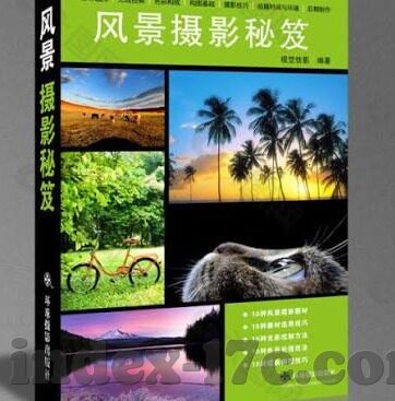 91麻豆自拍视频-解读91麻豆自拍视频，成年人社交文化的一瞥