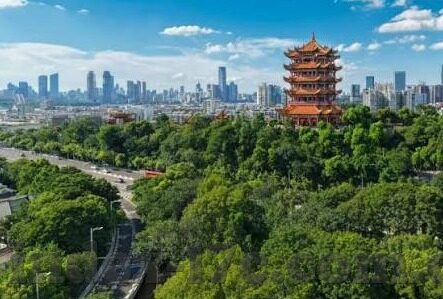 大象传媒视频下载网站-探索大象传媒视频下载网站的多元魅力