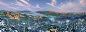大象视频下载app免费版-探索大象视频下载，免费版APP的魅力与挑战