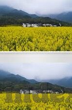 果冻视频传媒app下载-果冻视频传媒app，解锁娱乐新体验