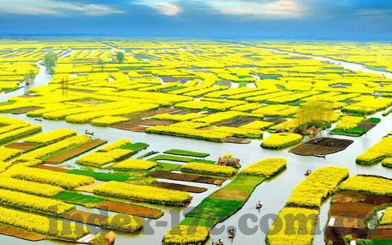 麻豆短视频app下载-最新潮流，探索麻豆短视频app的惊喜之旅