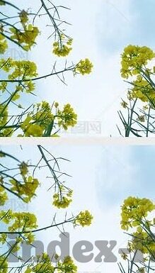 麻豆文化传媒免费观看-沉浸式体验，解锁麻豆文化传媒的不凡魅力