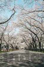 日韩av人妻毛片有码-日韩AV人妻毛片有码，文化与道德的边界