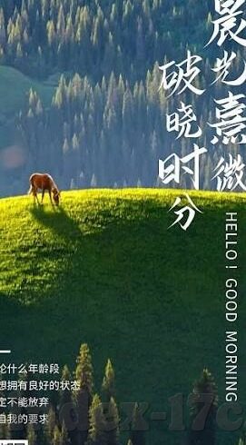 日韩成av人在线-日韩成人内容在线现象的多元视角与影响探讨