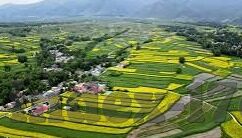 一区二区三区 国产-国产影视的多元化发展，一区、二区、三区的独特魅力